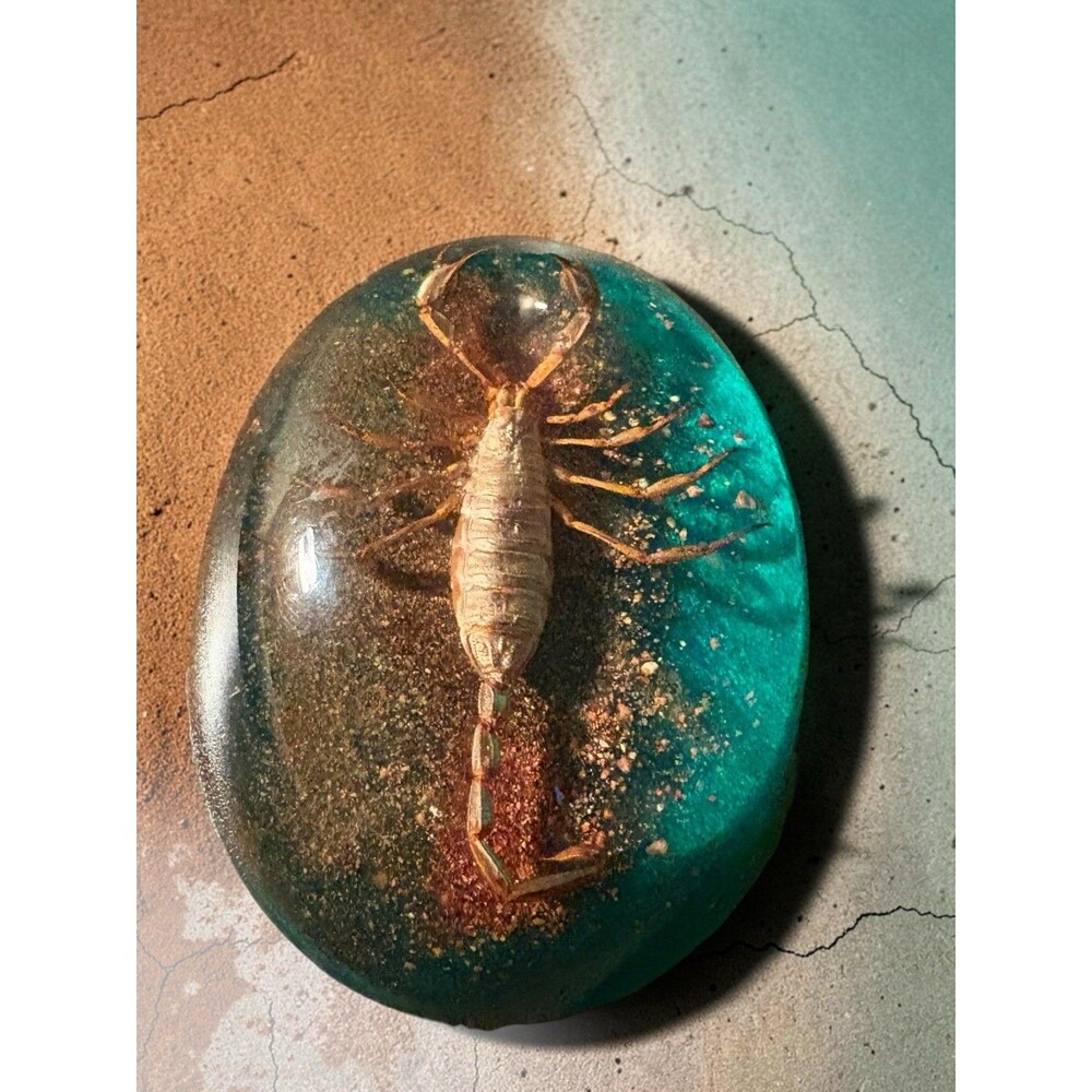 Chinese Golden Scorpion Paperweight In Green Resin Dome With Felt Bottom VTG